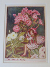 Vintage Flower Fairies Print &