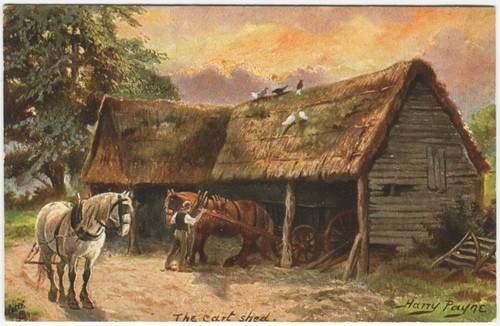 Horses the cart shed - horses,, rural