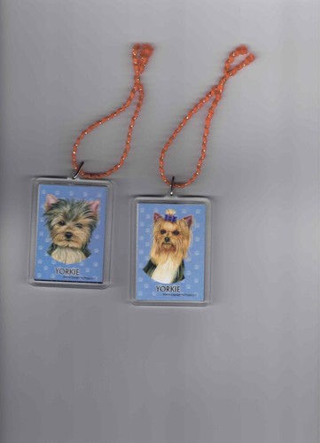 Yorkshire terrier dog - yorkshire,