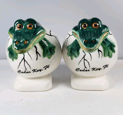 Cedar key florida - cedar, alligators