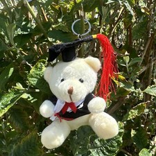1x Graduation Soft Teddy Bear
