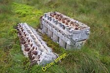 Photo 12x8 A Fairey Firefly's