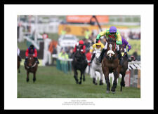 Kauto Star 2009 Cheltenham Gold Cup Winner Horse Racing Photo (883)