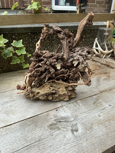 Aquarium driftwood handcrafted - aquarium,