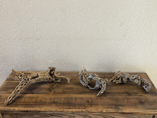Natural driftwood cholla - driftwood,