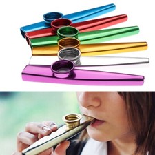 Beginner Flute Instrument