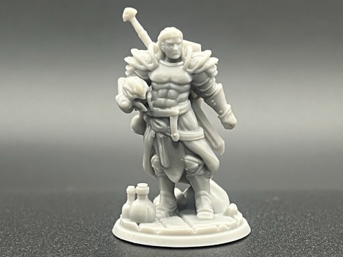 Unpainted human male paladin - unpainted,