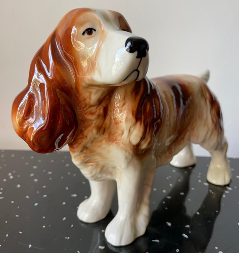Cavalier king charles - king,