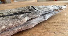 40cm CHUNKY DRIFTWOOD BRANCH