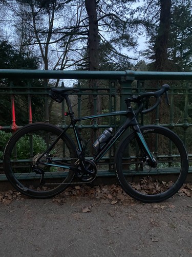 Binachi intenso carbon road - binachi,