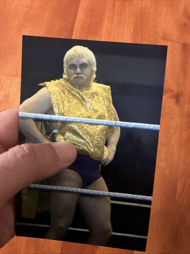 Vintage 70s buddy - wolfe, wwwf