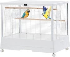 Large bird cages parrot - parrot, cage