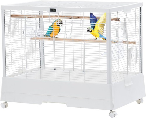 Large bird cages parrot - bird,