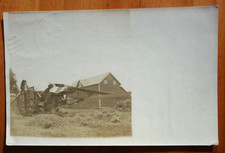 cutting hay,  harvesting