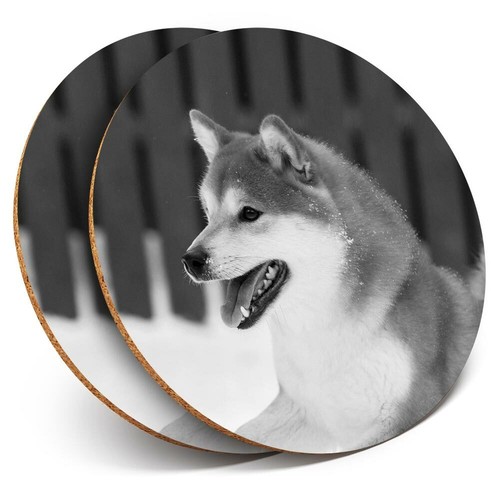 Coasters shiba inu - x,