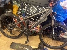 Saracen mountain bike - mountain,