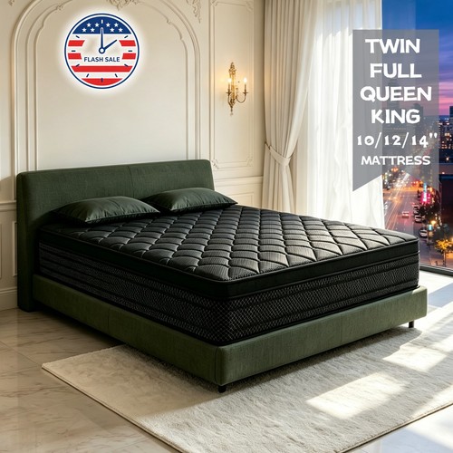 Queen king hybrid - 14",