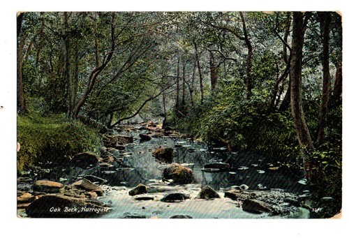 Yorkshire oak beck - oak,