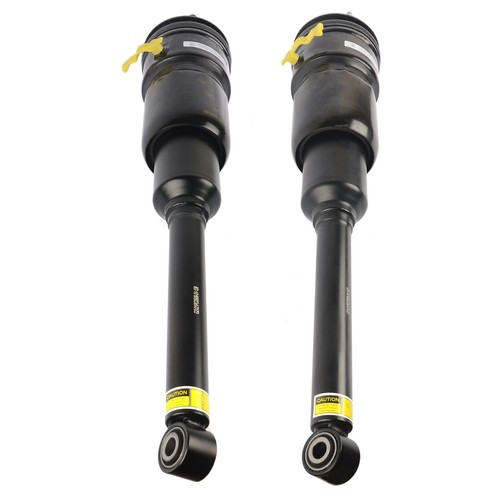 Rear suspension strut - strut, shock