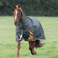 Shires Highlander Plus 50g