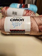 Caron Simply Soft Aran (6oz) Shade Victorian Rose dyelot 2024-04-9893
