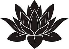 E65 S -XL  Lotus Flower Plant