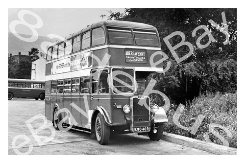 Bus photograph red - photograph, white