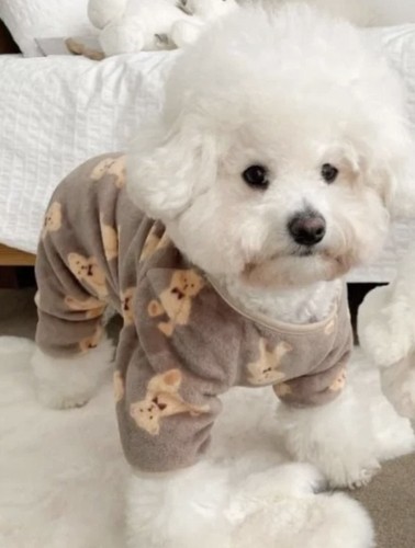 Pet plush jumpsuit dog - pet,