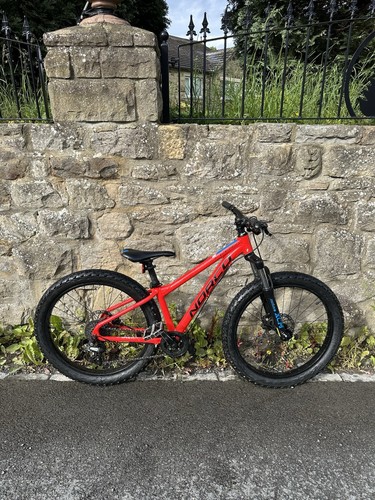 Norco fluid mountain - fluid,
