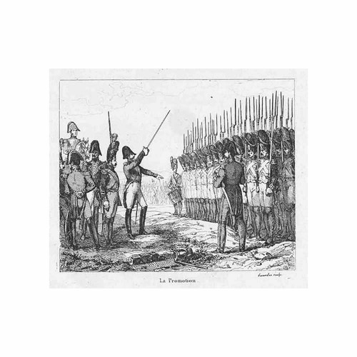 Napoleonic wars french troops - wars,