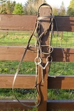 Cob size black leather bridle