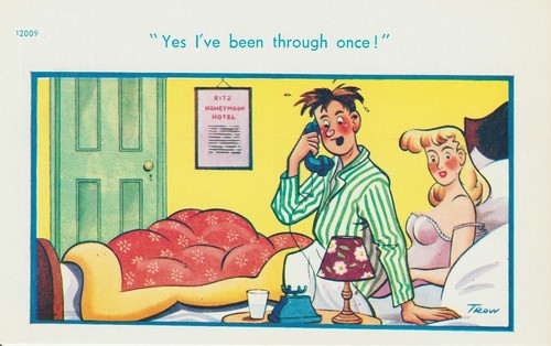 Vintage saucy seaside postcard - vintage,