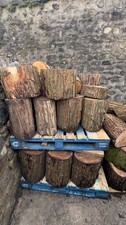 Rustic Tree Stumps / seats /