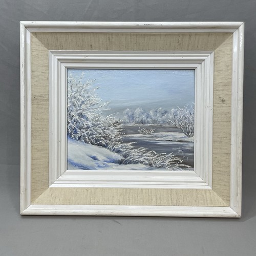 Frozen lake winter scene - lake,