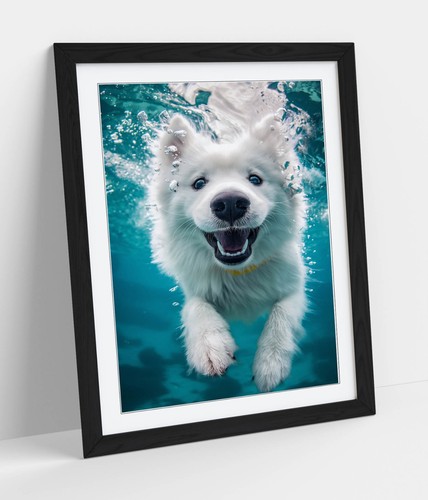 Cute smiling samoyed dog - smiling,