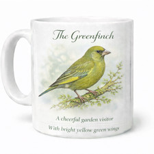 Greenfinch british garden - greenfinch, bird