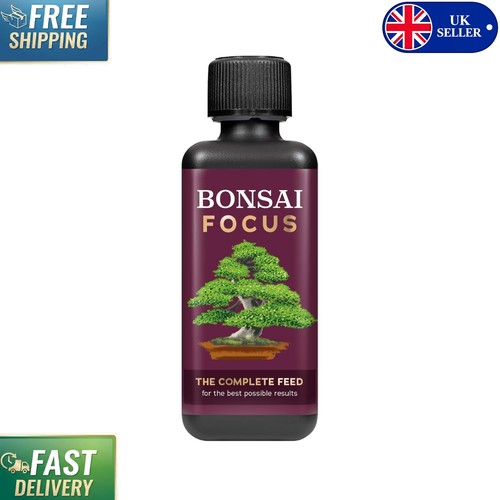 Bonsai focus feed 300ml - bonsai,
