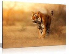 Bengal Tiger Wildlife Canvas