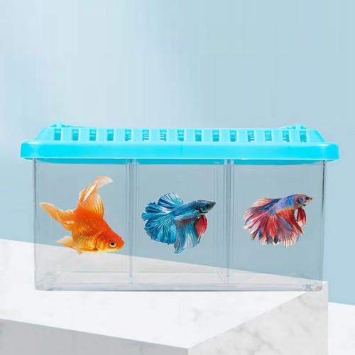 Desktop fish tank grid - tank,