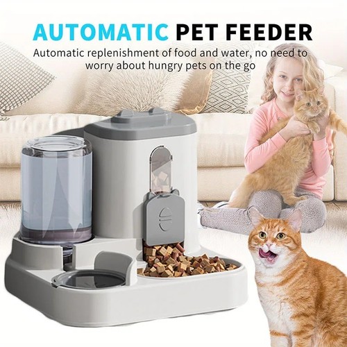 Automatic cat feeder - in,