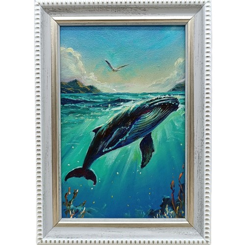 Humpback whale ocean - humpback,