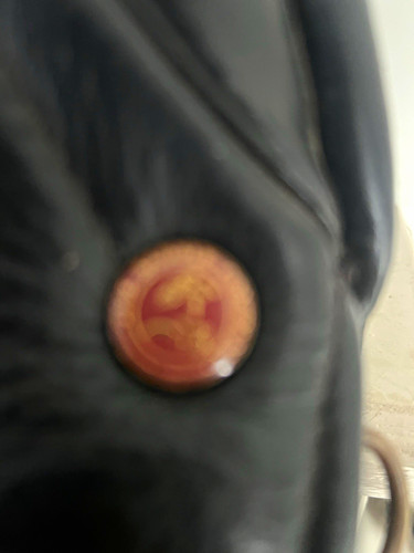 Saddle company inch black - company,