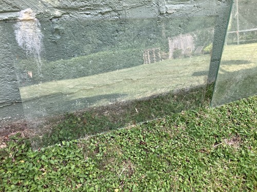 Green house glass 1 pane - glass,