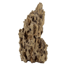 Aqua One Realistic Dragon