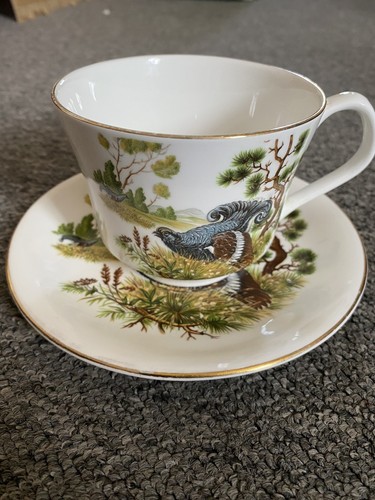 Elizabethan staffordshire - elizabethan,