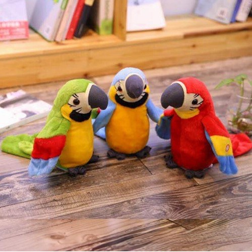 Talking parrot repeats what - repeats,