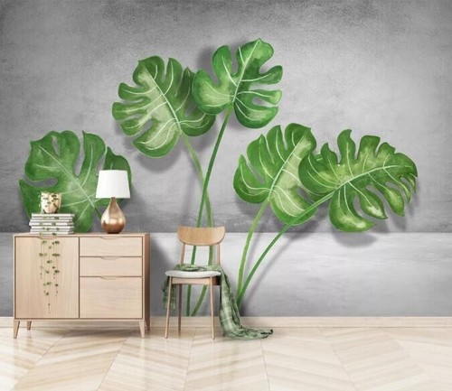 Monstera leaves r26550 - monstera,