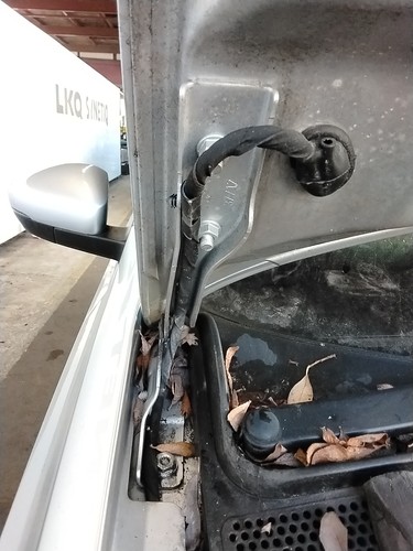 Bonnet hinge volkswagen - hinge,