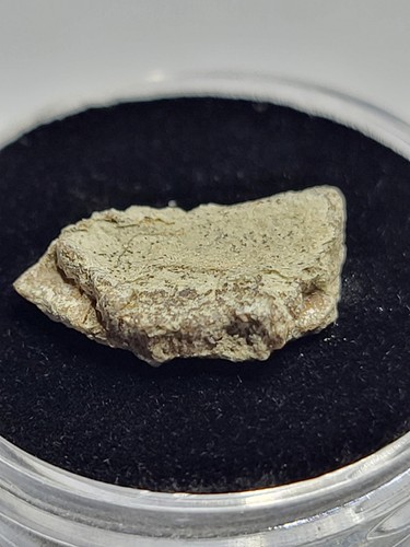 Hadrosaur egg shell genuine - hadrosaur,