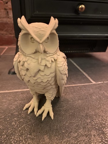 Owl